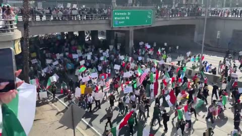 Protesters shut down both directions of the freeway in downtown Los Angeles