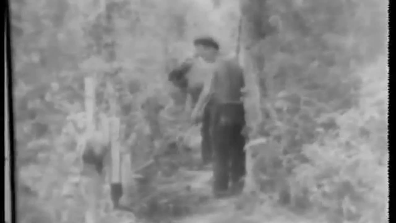 Winter Sun and Summer Sea: Florida's Natural Beauty and CCC Contributions