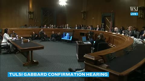 Tulsi Gabbard Confirmation Hearing