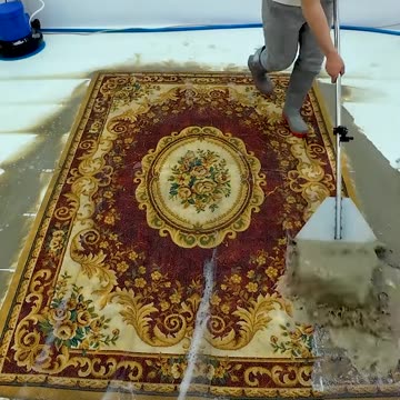 Satisfying Carpet Cleaning: Beautiful Carpets From Muddy Puddles #carpetcleaning #shorts