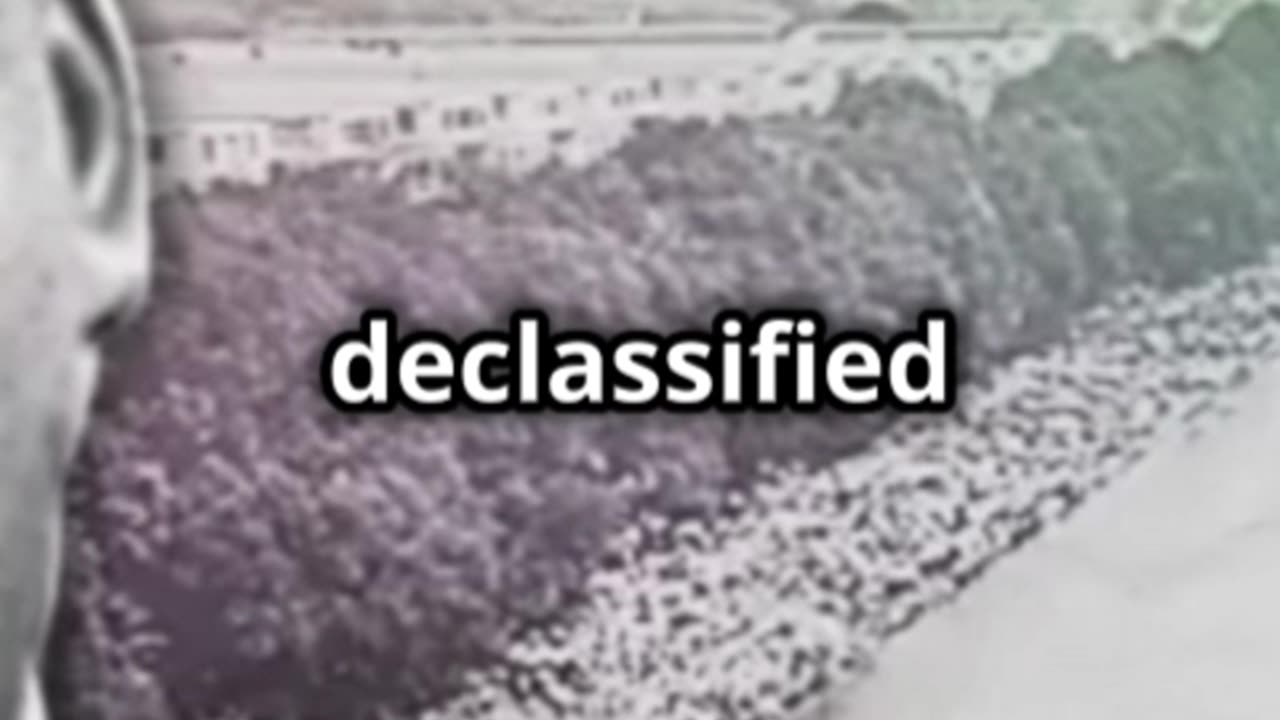 MLK Declassified Files: Shocking Revelations!