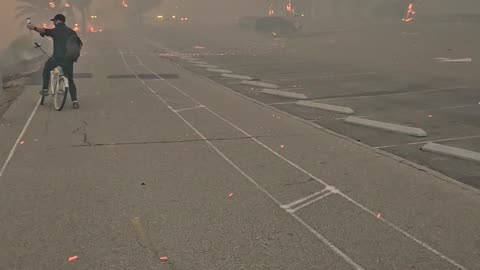 Palisades Fire Up Close At Will Rogers Beach