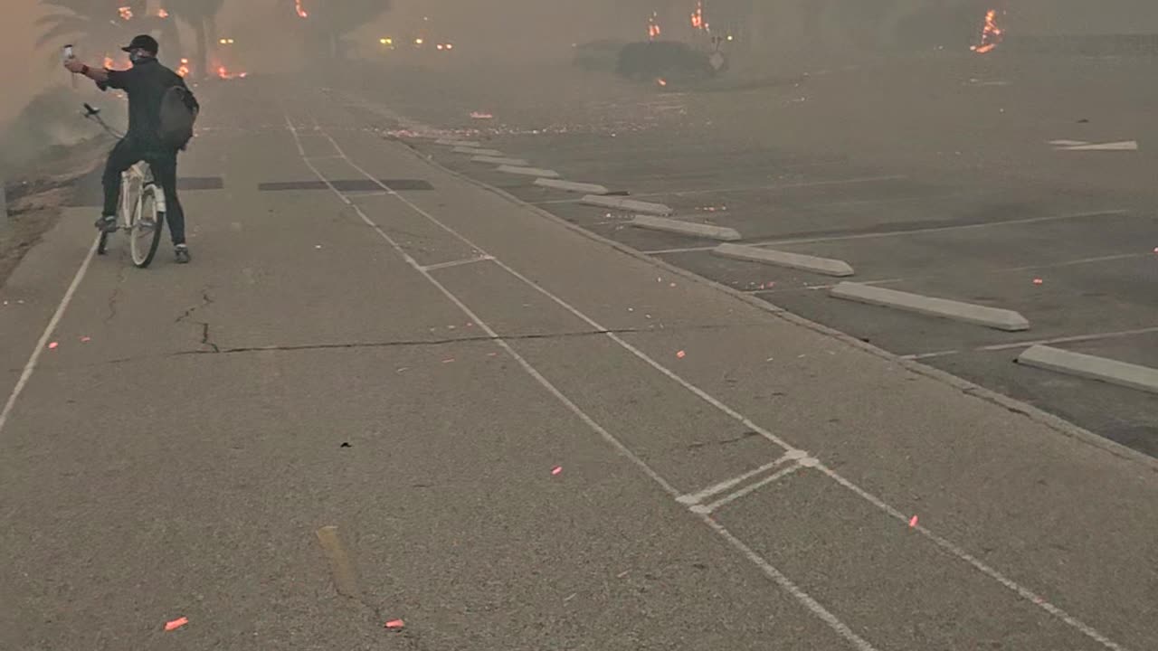 Palisades Fire Up Close At Will Rogers Beach