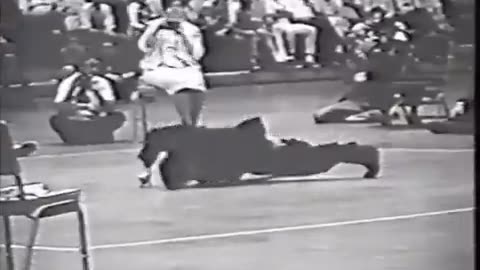 Bruce Lee doing one handed push-up, using only two fingers