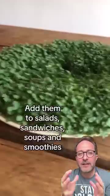 Grow your own Chi Seeds