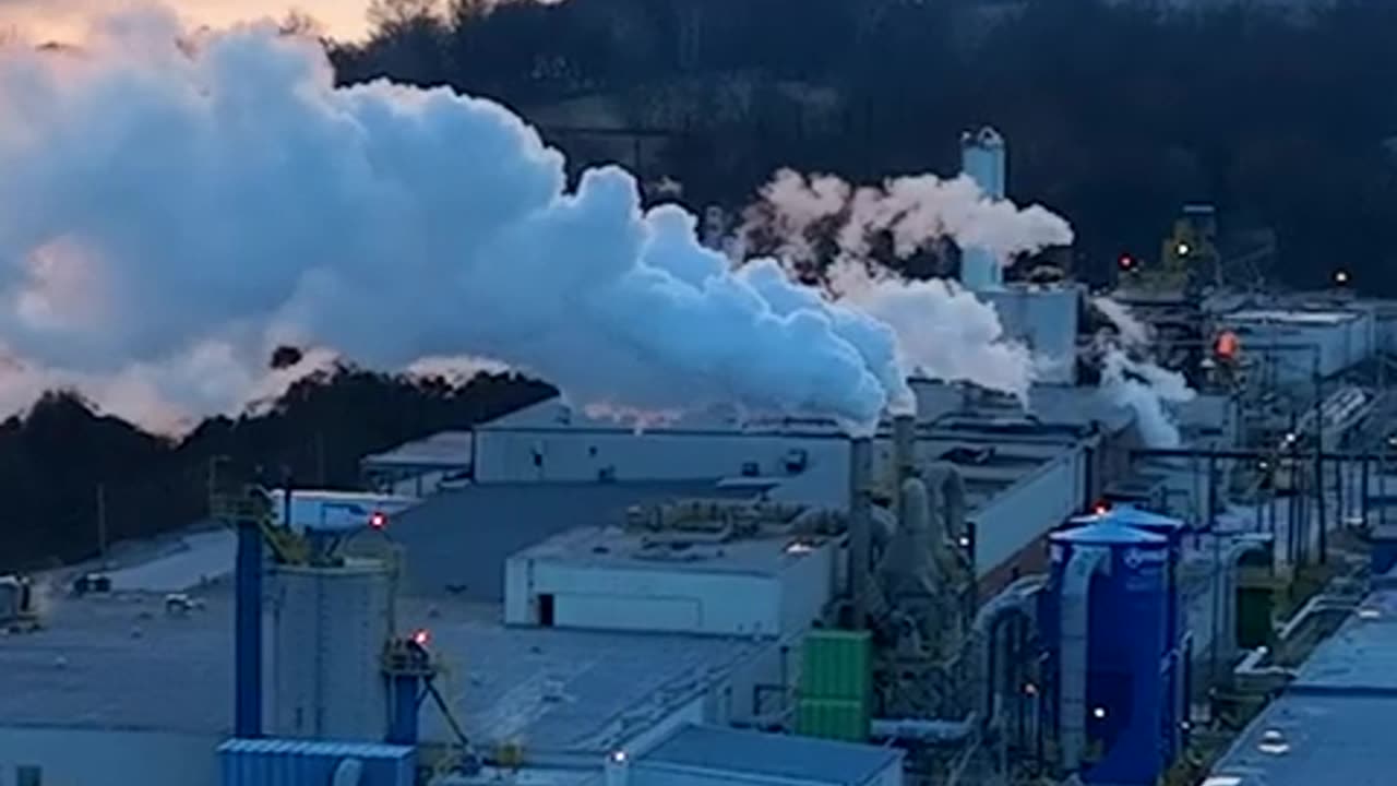 All-In Podcast - David Friedberg Predicts Trump's Master Plan