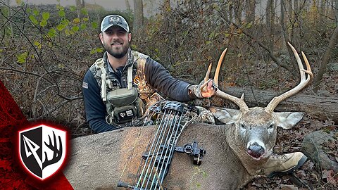 Connecticut Buck - Two Year Story