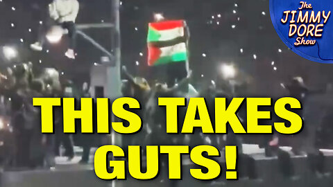 Man DRAGGED Out Of Super Bowl For Flying Palestinian Flag!