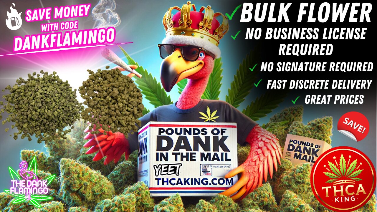 Our FAVORITE Bulk Wholesale Exotic & Budget Bud Vendor THCAKING DOT COM! Dankin with the Flamingos