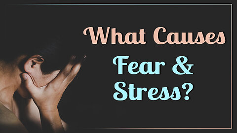 What Causes Fear and Stress?
