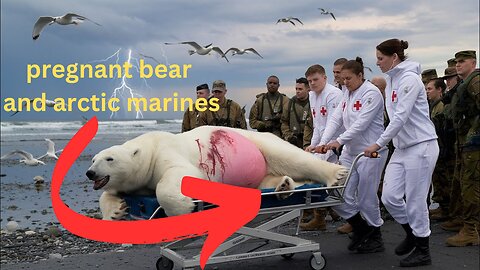 The story is about a pregnant bear and arctic marines