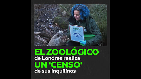 El zoo de Londres inicia el recuento anual de sus animales