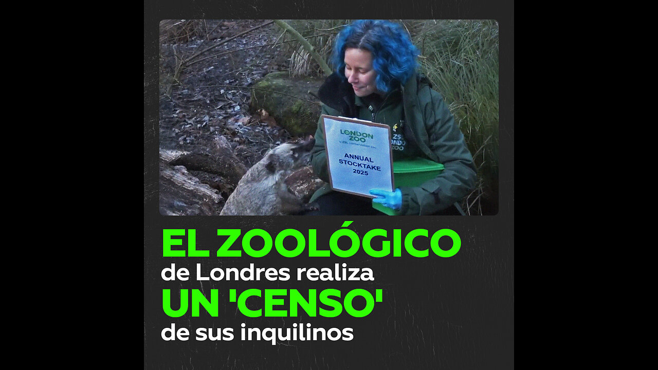 El zoo de Londres inicia el recuento anual de sus animales