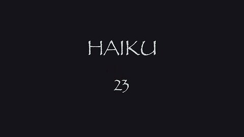 HAIKU 23