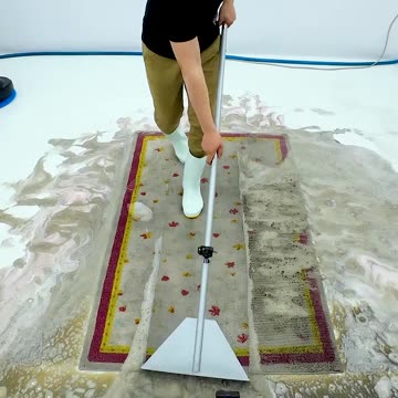 Satisfying Video - Horrifying Amount Of Mud Spilled From The Carpet #shorts #carpetcleaning