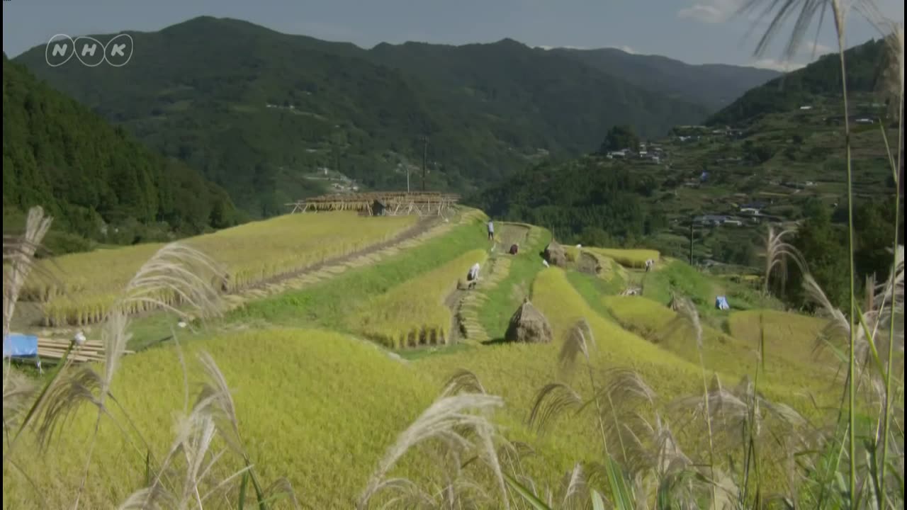 にっぽんカメラアイ シリーズ 未来に残したい風景 「八幡様がおる棚田」