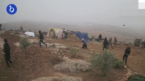 Settlers Attack Palestinian Homes in South Hebron Hills