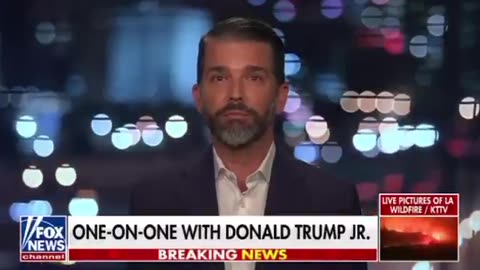 CHECK THIS OUT ! NEW DON JR !! EYES OPEN ... New don jr.
