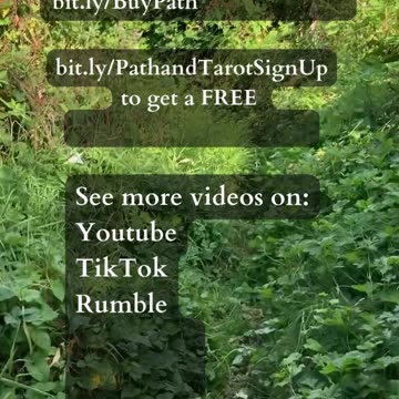 What Is Meant For You | Path and Tarot Reading