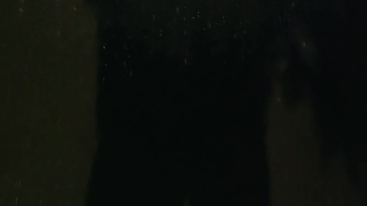 SEJA LUZ