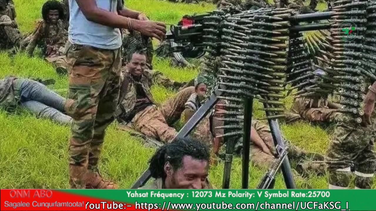 Gabaasa Tarkaanfii ONM-ABO Guraandhala 23-2025 itti dhiyaadhaaa!