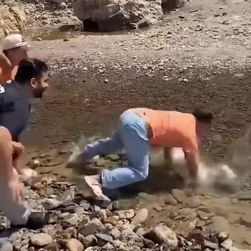 Epic Funny Video 😅😂😂 #shorts #comedy #funnymoments