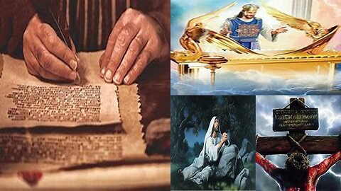 New Testament In A Year - Day 313