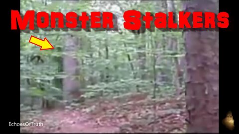 Dogman, Bigfoot, Sasquatch - Interdimensional Spirit Beings! - Shapeshifters! - Nephilim?