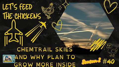 Chemtrail Skies and Why plan to Grow more inside | Let's Feed the Chickens | E40