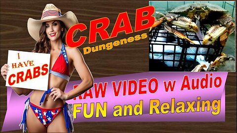 LovingKindWarm Crab Video Underwater Pot Fish Boat ASMR Visual/Audio 2024 10 25 HiCam a thru k PV