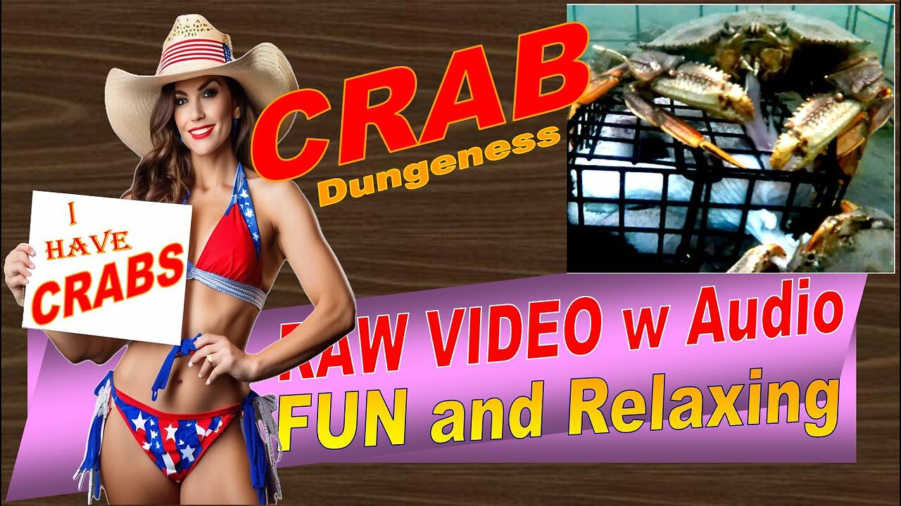 LovingKindWarm Crab Video Underwater Pot Fish Boat ASMR Visual/Audio 2024 10 25 HiCam a thru k PV