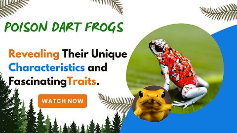 Poison Dart Frogs, Revealing Their Unique Characteristics and Fascinating Traits.