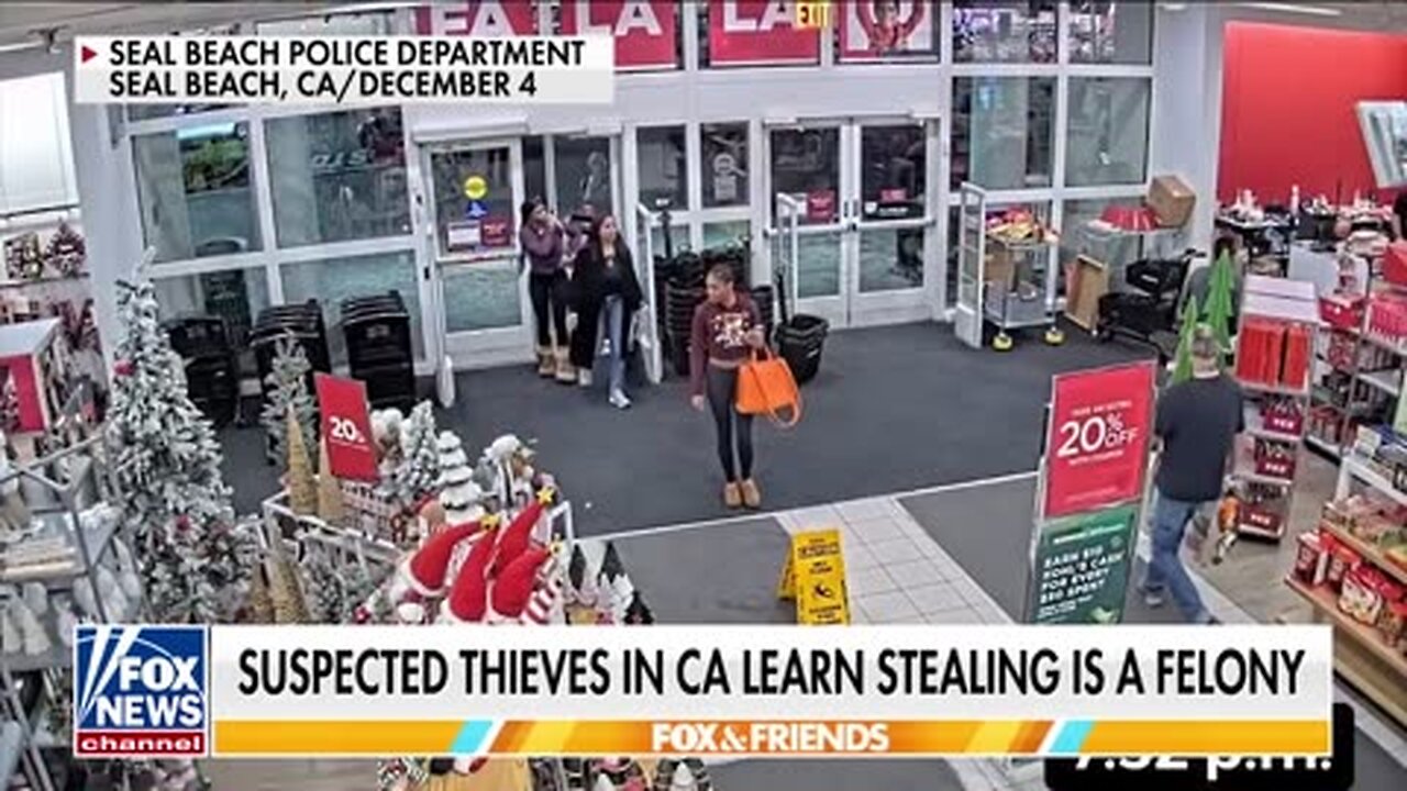 WE DON'T PLAY: Blue state sends message to criminals with new law