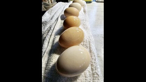How to wash Farm Fresh eggs