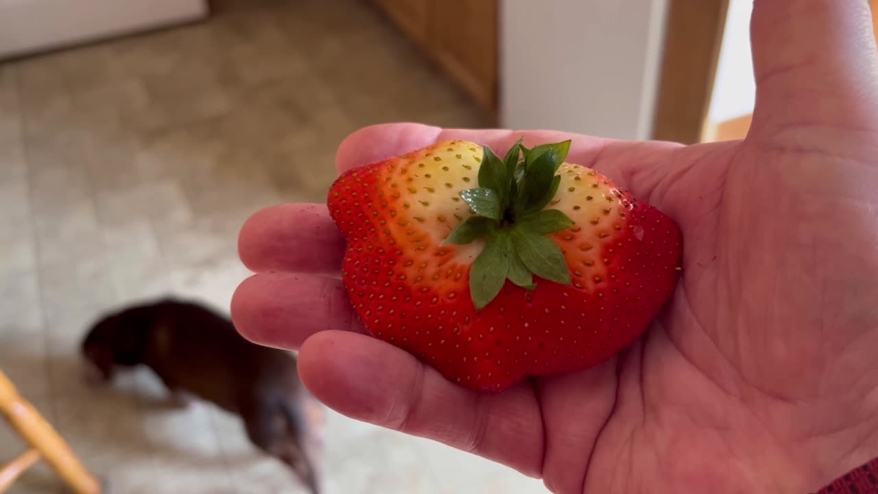 Siamese Strawberry