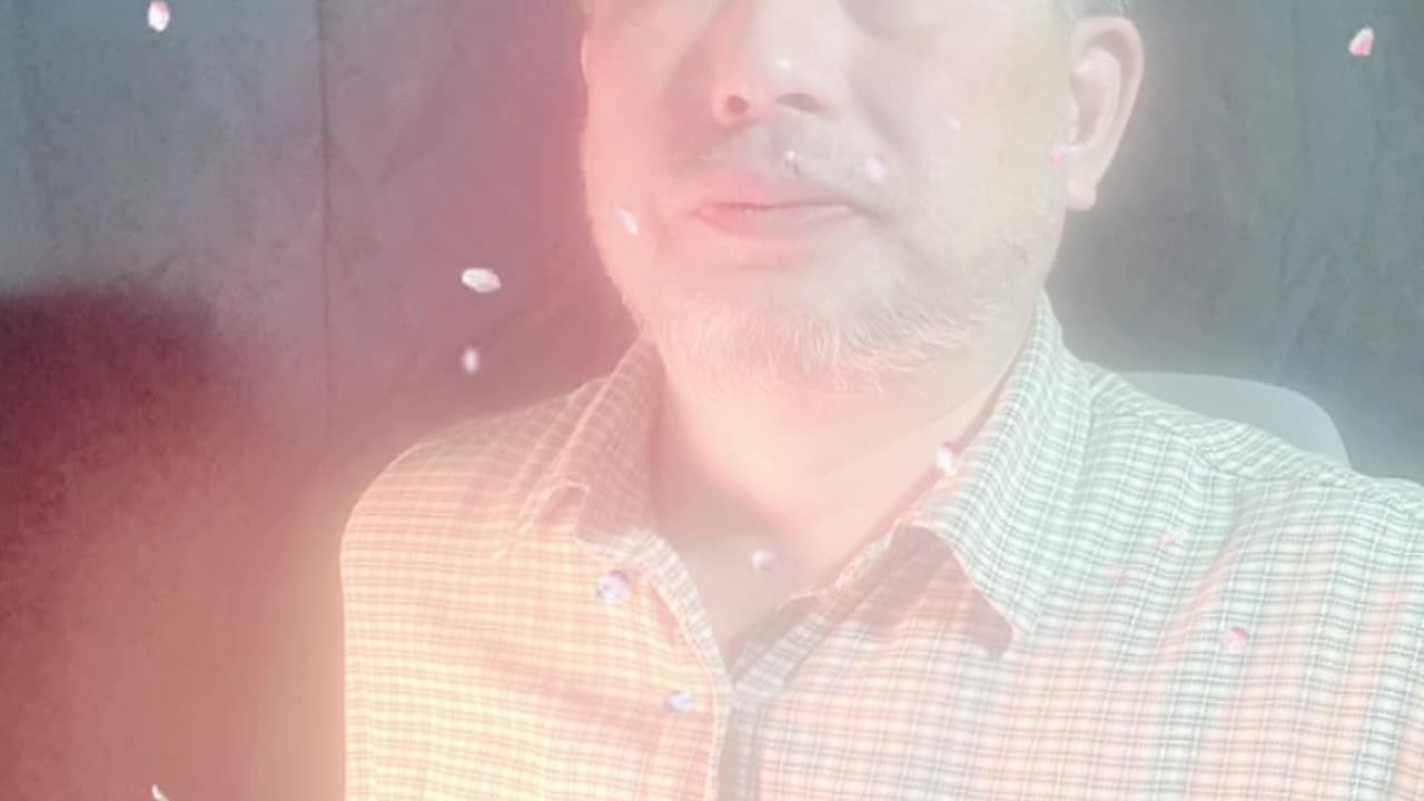 250228...victory 정치기사 보기