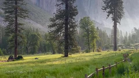 Beauty of Nature