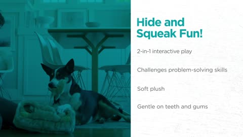 Outward Hound Hide A Squirrel Plush Dog Toy Puzzle – XL Interactive Fun
