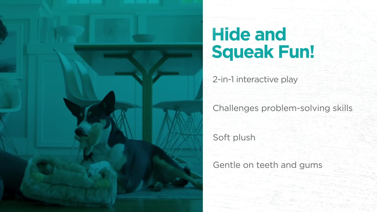 Outward Hound Hide A Squirrel Plush Dog Toy Puzzle – XL Interactive Fun