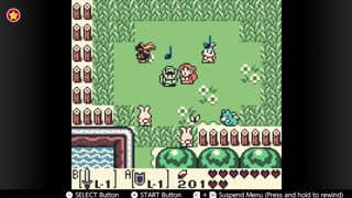 Zelda Link's Awekening (GBC-SO) day 12