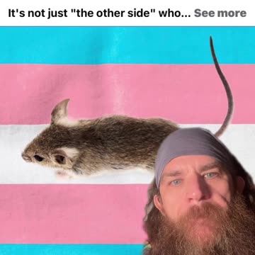 Transgender mice #Trans #Transgender #TransgenderMice #TransMice #TadpoleTriplett #Comedian