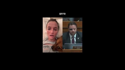 Politicians Question TikTok CEO