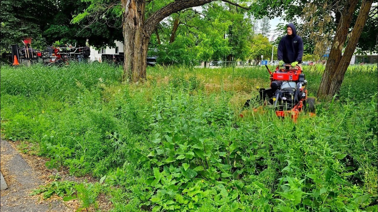 Community With The Most UNWELCOMING Front Yard Gets CLEANED UP