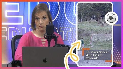 Elk Plays Soccer With Kid