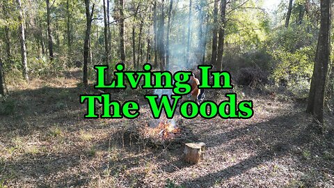 Could You Live in the Woods?
