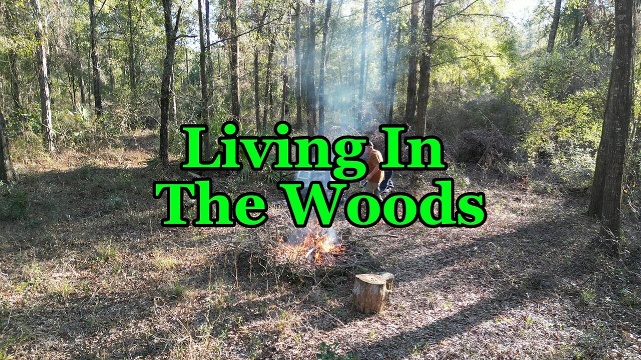 Could You Live in the Woods?