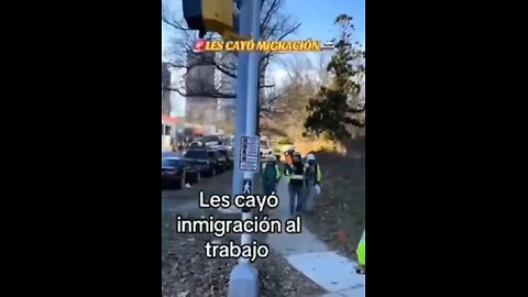 Tom Homan ICE shows up to a construction site and illegals scatter like roaches