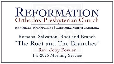 The Root and The Branches | Romans 11: 16-24