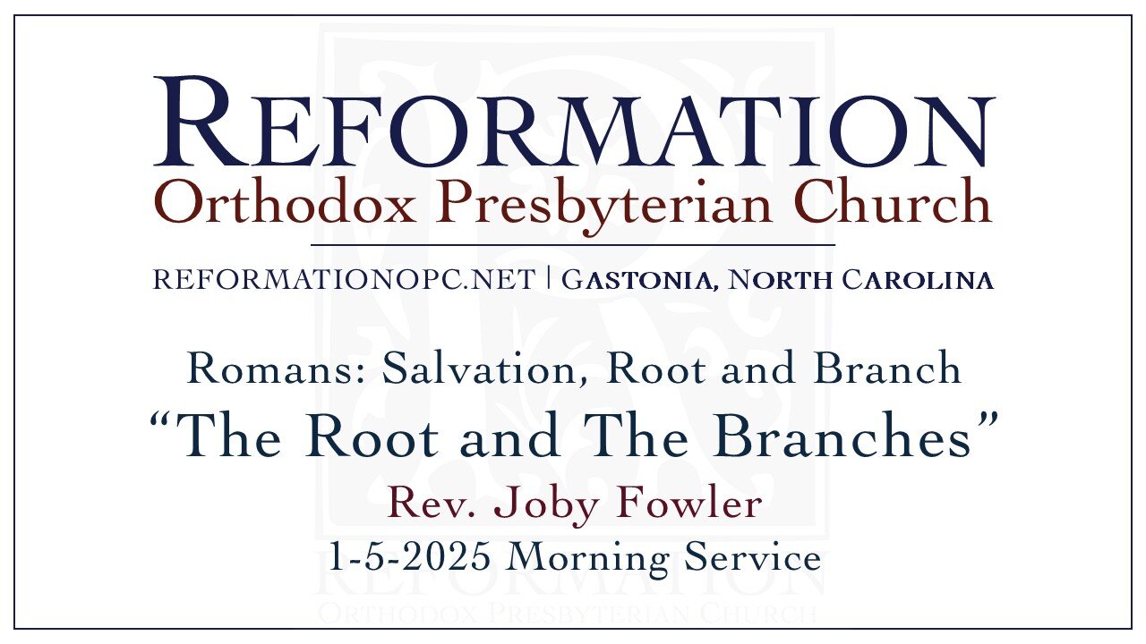 The Root and The Branches | Romans 11: 16-24