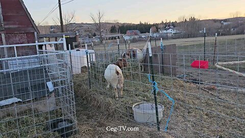 Graham Family Farm: 5:30 PM March 4 2025